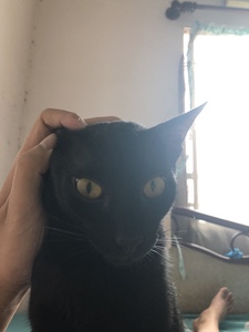 Danh