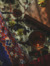 زَهره 