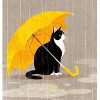 Miao