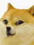 Thinh N...