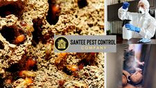 Santee Pest Control  Company