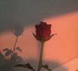 Mariam