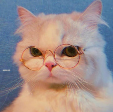 &#x1d516;&#x1d51e;&#x1d51f;&#x1d51e;'᪥