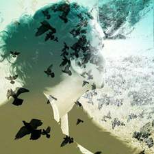 Srbijana Čeperković