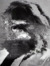 73f4252d-5890-4351-b2c2-1e686ee2f6ff UUID