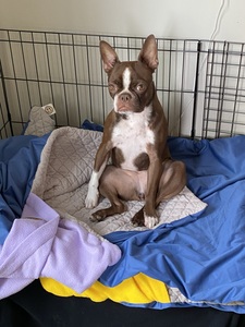 Jo-Anne &#x1f4da;&#x1f4d6;&#x1f913;