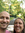 member photo member photo