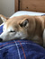 Yukiko