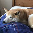 Yukiko