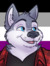 Duncan Husky