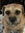 Janet | 1 comments
