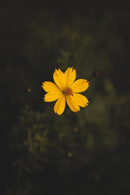 Goodreads profile picture for @simulation