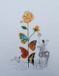Merve Cerit