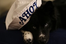 Brandon Dimitri Dimitri Villegas