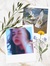 Diana P...