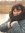 Eveline...