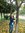 Macey
