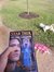 Star Trek Novels and Comics