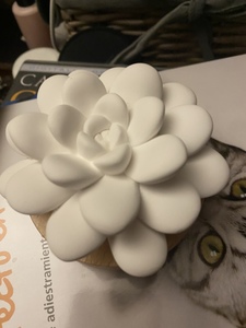 Myr