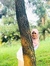 Suraya ...