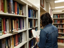 Ari (Books. Libraries. Also, cats.)
