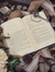 Books and rocks