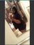 Ebony H...