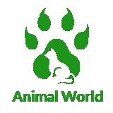 AnimalWorld
