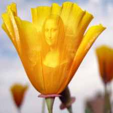 Julee Ostrye