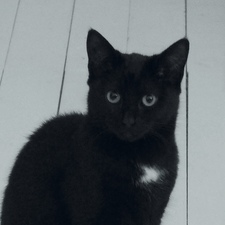 Inki