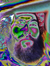 Alphared Chadstick