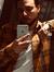 Ayman Gomaa