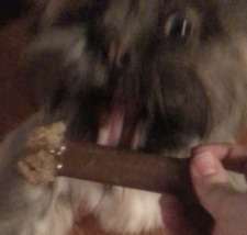 Corry Dragoo