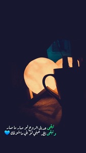 منيرة البريدي