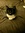 Zelda Baggins (zeldabaggins) | 12 comments