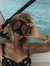 Taylor c