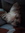Ammie (moondancera) | 1 comments