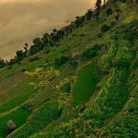 أديب الاغبري