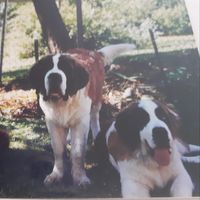 Frances T.Constantine