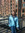 member photo member photo