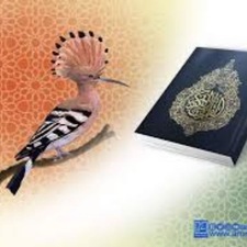 عاهد الزبادي