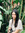Adeline Lim