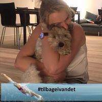 ᗩᑎᑎᗩ ᑌᗪᗩᖇ