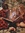 Jessica