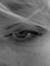 Polona ...