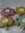 member photo member photo