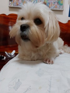 Chanunchida Cheepseree