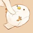 Ayesha ( ˙▿˙ )	
