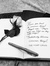 Thorn_n_thistle_reads