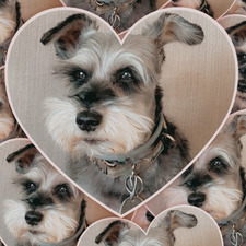 Gina